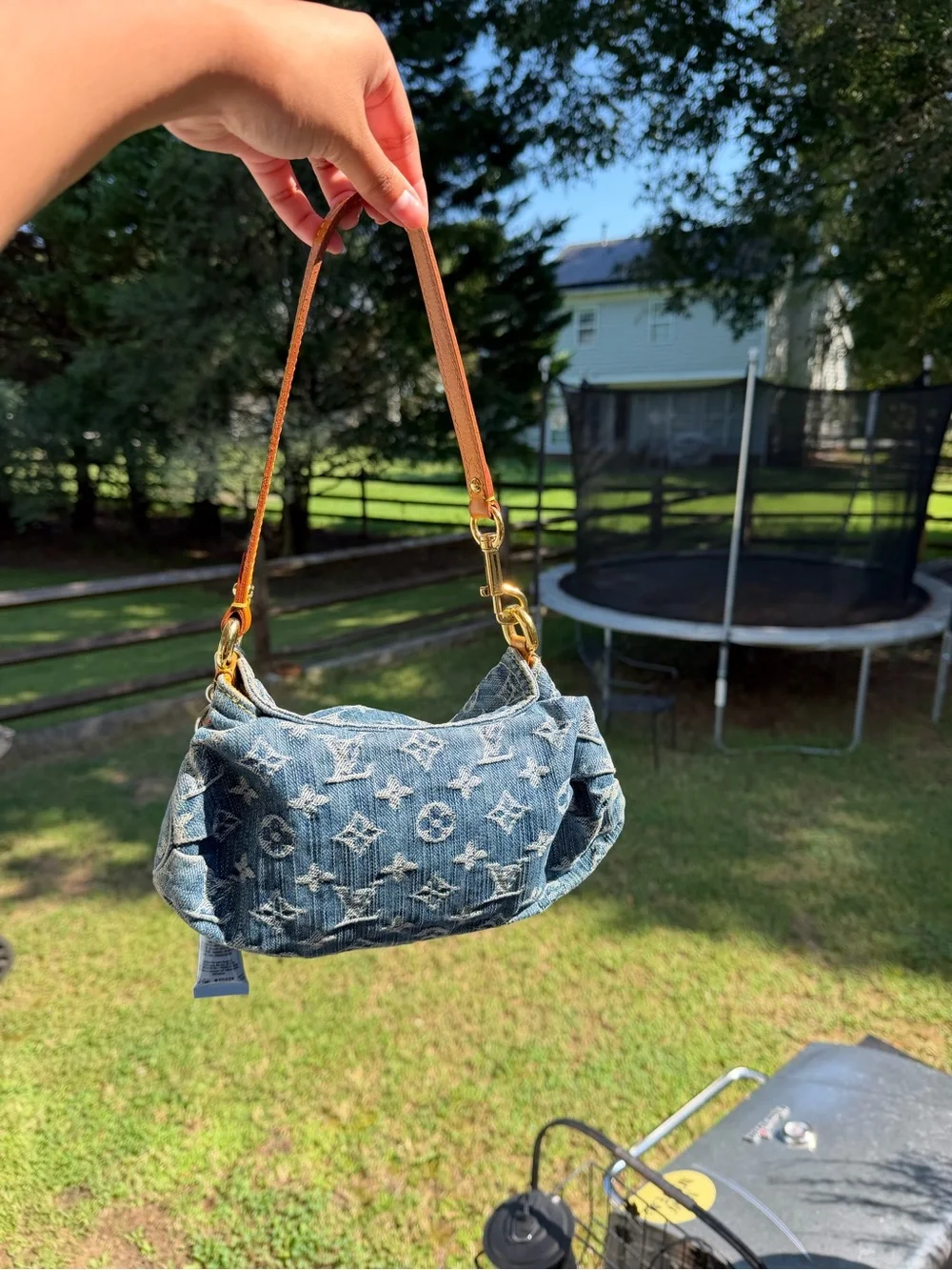 Louis Vuitton monogram pleaty bag